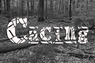 Cacing: The Fun Typeface That Transforms Your Small Business Brand