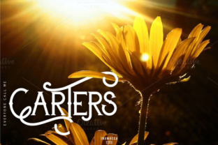 Carters: A Modern Classic Typeface for Digital Branding
