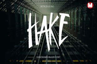 Choosing Hake for Fresh Editorial Design and Branding
