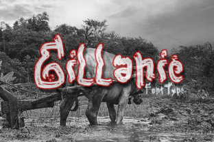 Gillanie: A Modern Display Typeface for Creative Branding