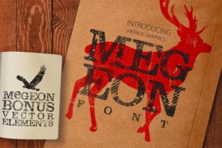 Megeon Typeface Review for Brand Identity Projects