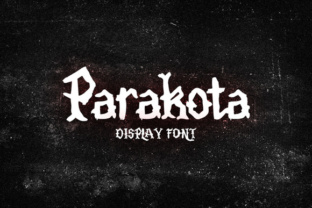 Parakota: A Premium Display Font for Modern Web Design